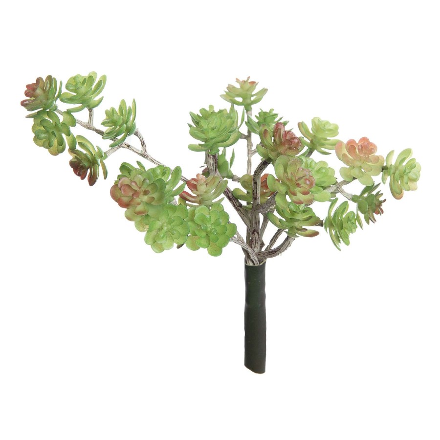 Home Accessories * | Green & Pink Mini Sedum Pick, 5.5 At Low Price