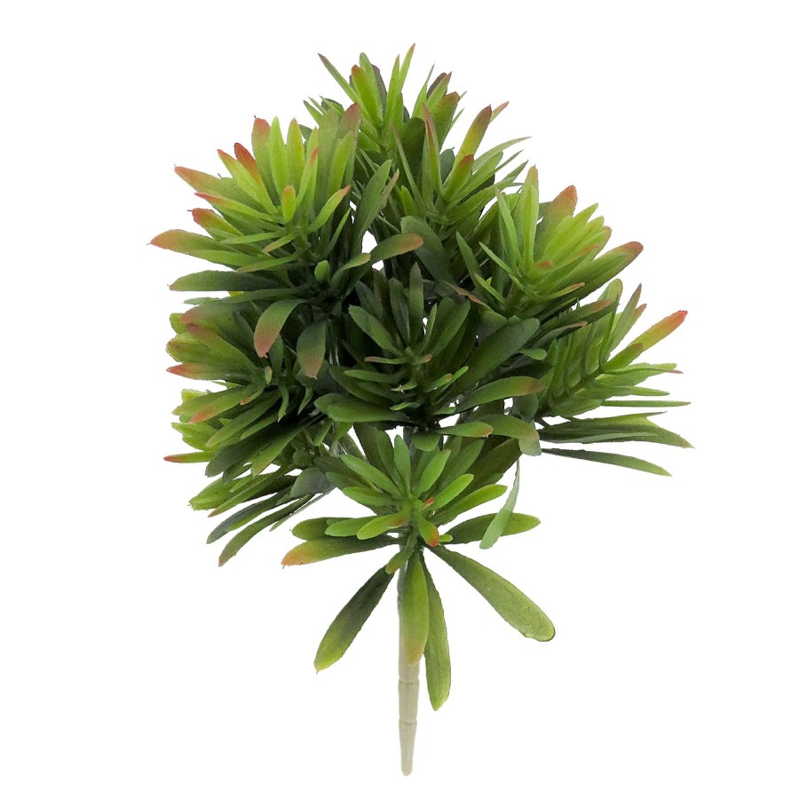 Home Accessories * | 9.5In Jade Plant Green At Reduced Price