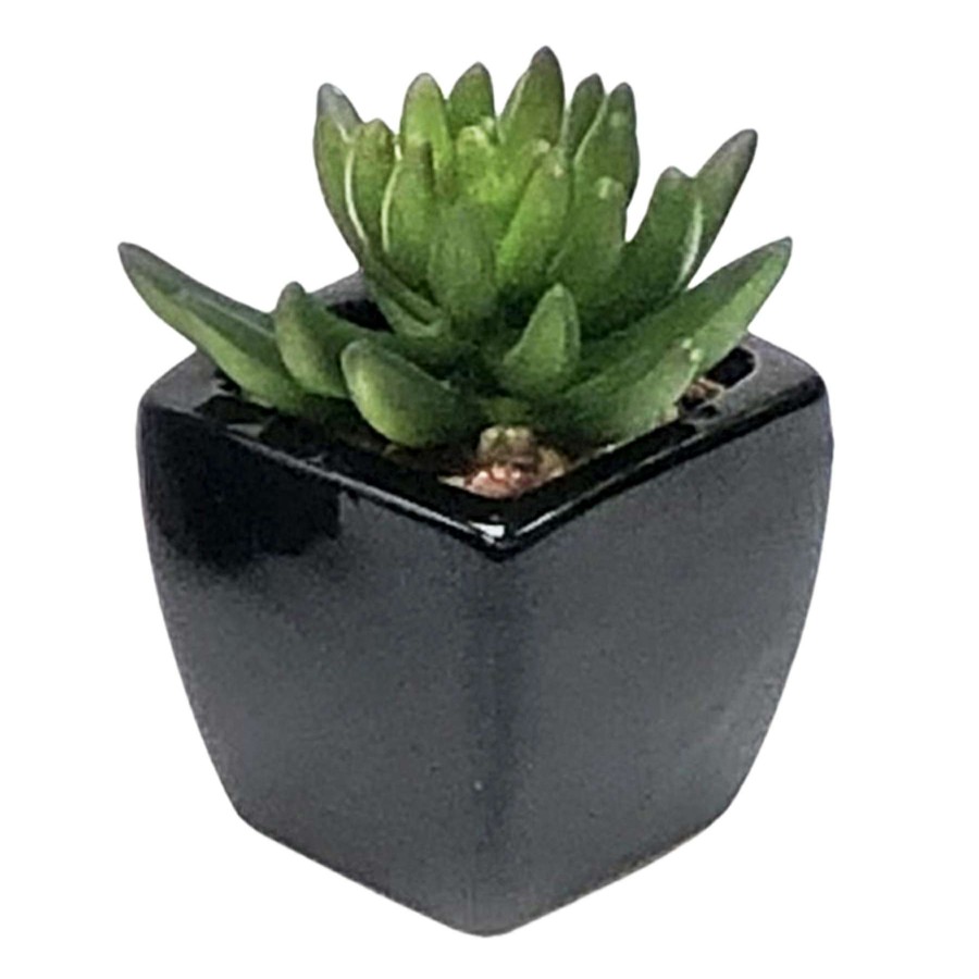 Home Accessories * | Set Of 3 Succulents In Black Square Pots Delicate Design