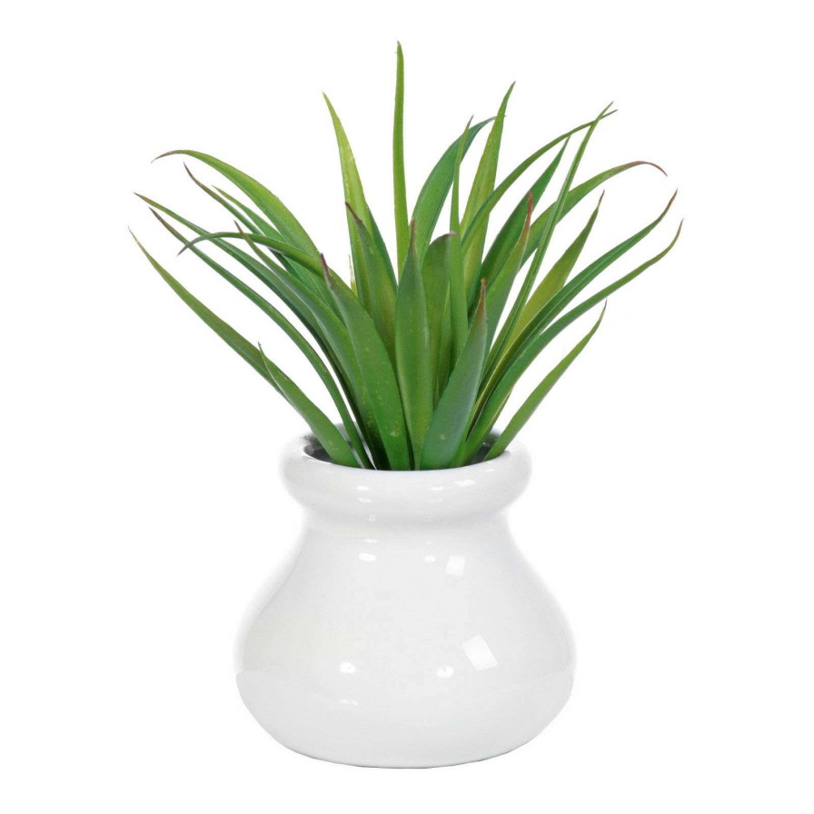 Home Accessories * | Agave With White Ceramic Planter, 6 Exceptional Design