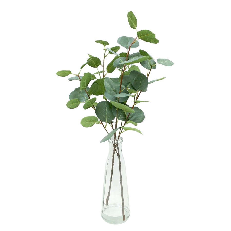 Home Accessories * | 20In Eucalyptus Watergarden Fantastic Model