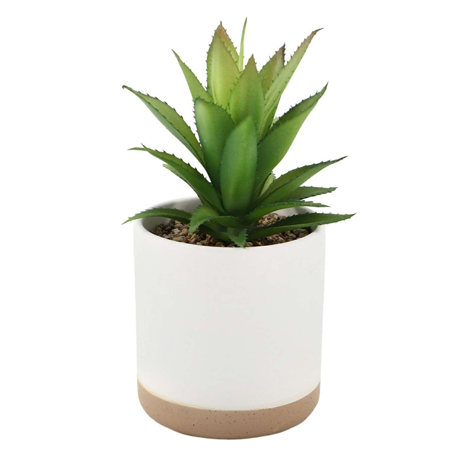 Home Accessories * | Succulent With Ceramic Planter, 7.5 Limited Edition