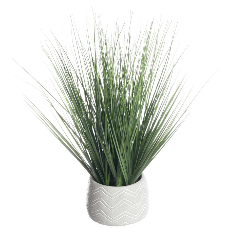 Home Accessories * | Onion Grass Plant With Cement Planter, 16 Premium Product