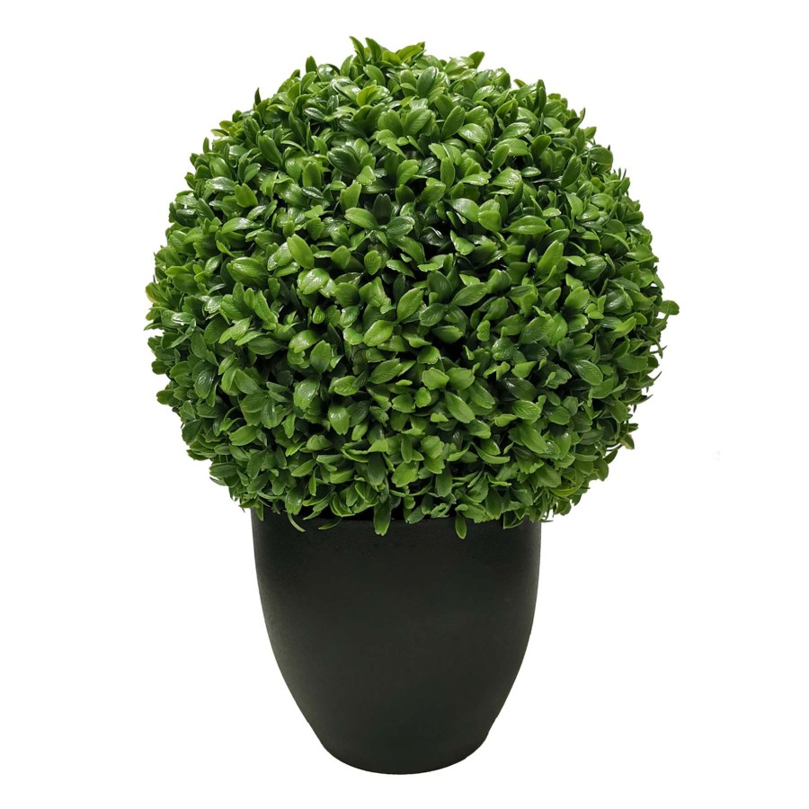 Home Accessories * | Boxwood Ball Plant With Black Planter, 16 Latest Fashion