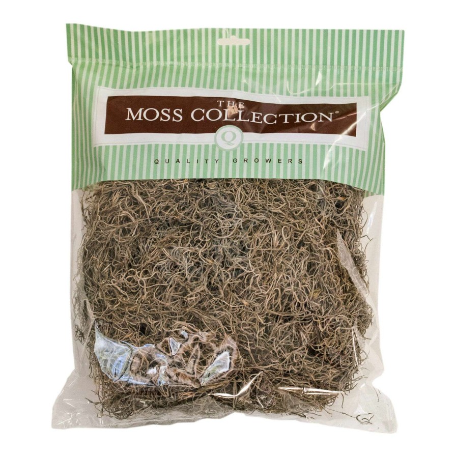 Home Accessories * | Preserved Natural Spanish Moss Discount Store