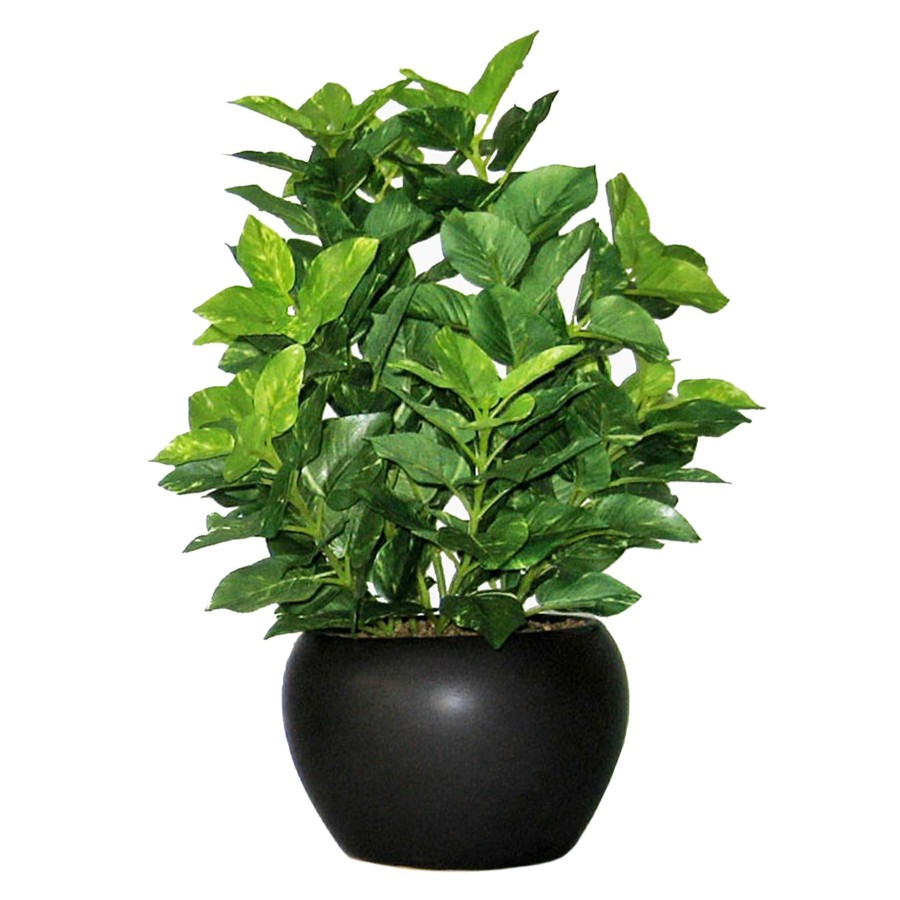 Home Accessories * | Greenery Plant With Black Planter, 10 Hot Sale