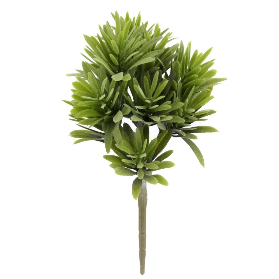 Home Accessories * | Green Jade Plant Stem, 9.5 Lower Prices