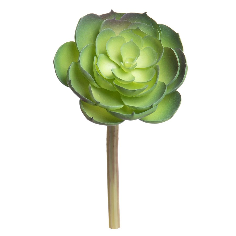 Home Accessories * | Echeveria Pick, 6 Fantastic Model