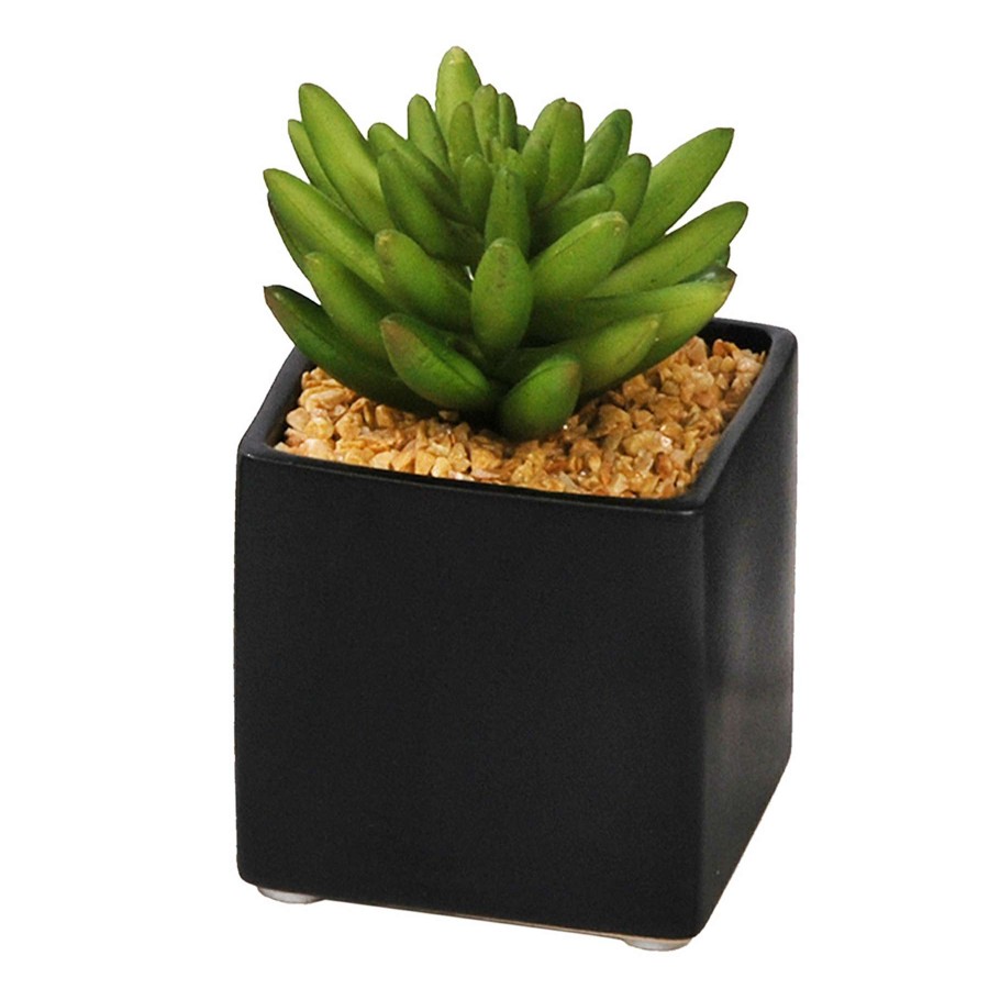 Home Accessories * | 4In Succulent In Ceramic 3 Outlet Sale