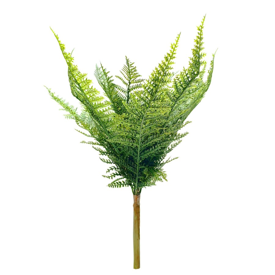 Home Accessories * | Lace Fern 20 Bush X 18 At Discount Prices