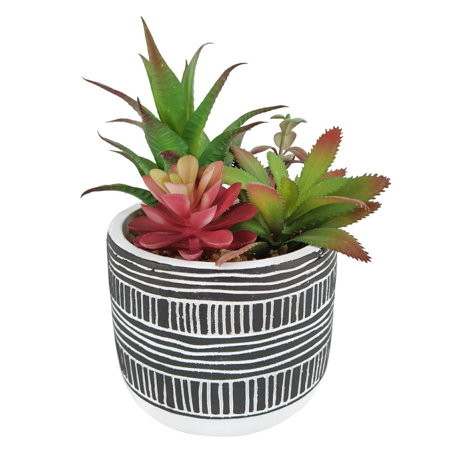 Home Accessories * | 7.5In Succulents Cement Blue Reliable Quality