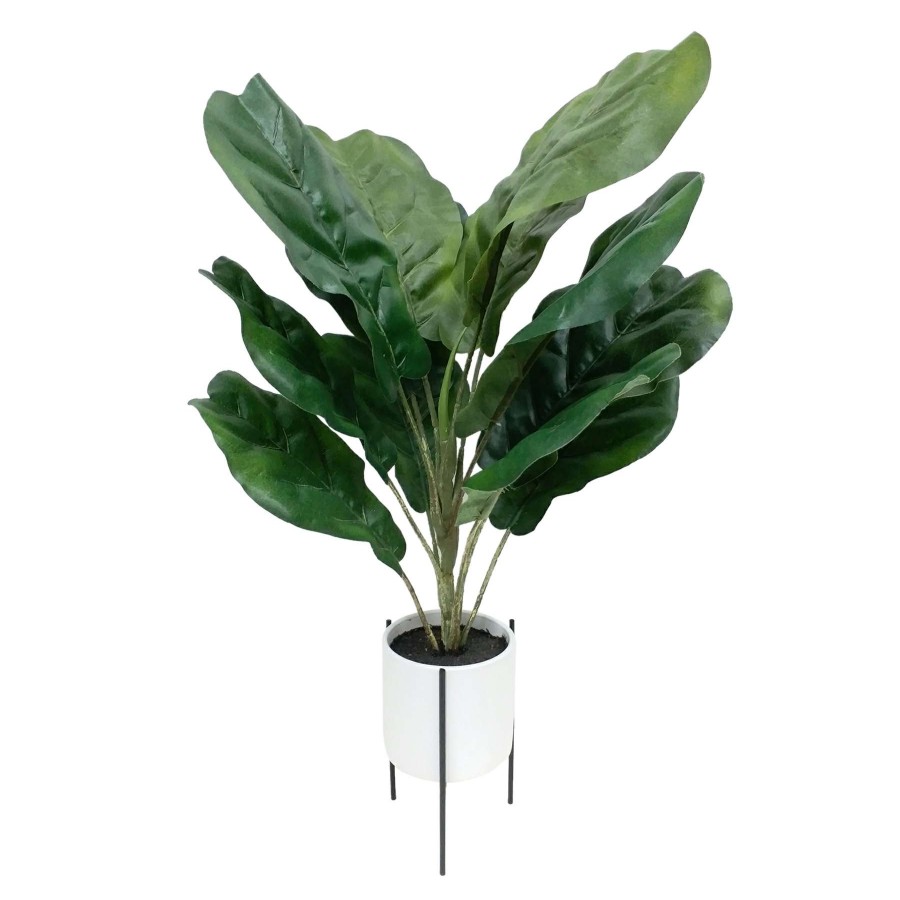 Home Accessories * | Fiddle Leaf Fig In White Pot With Stand, 24 Exactly Discount