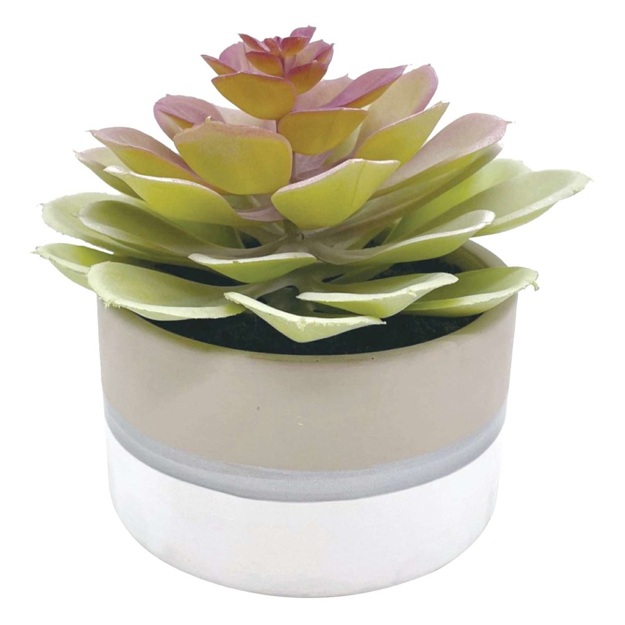 Home Accessories * | Succulent Lotus In Ceramic Pot Discount Store