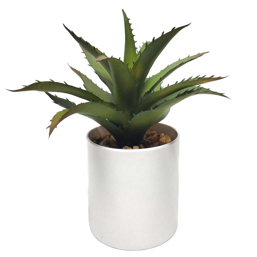 Home Accessories * | Aloe Plant With White Planter, 8 Latest Fashion