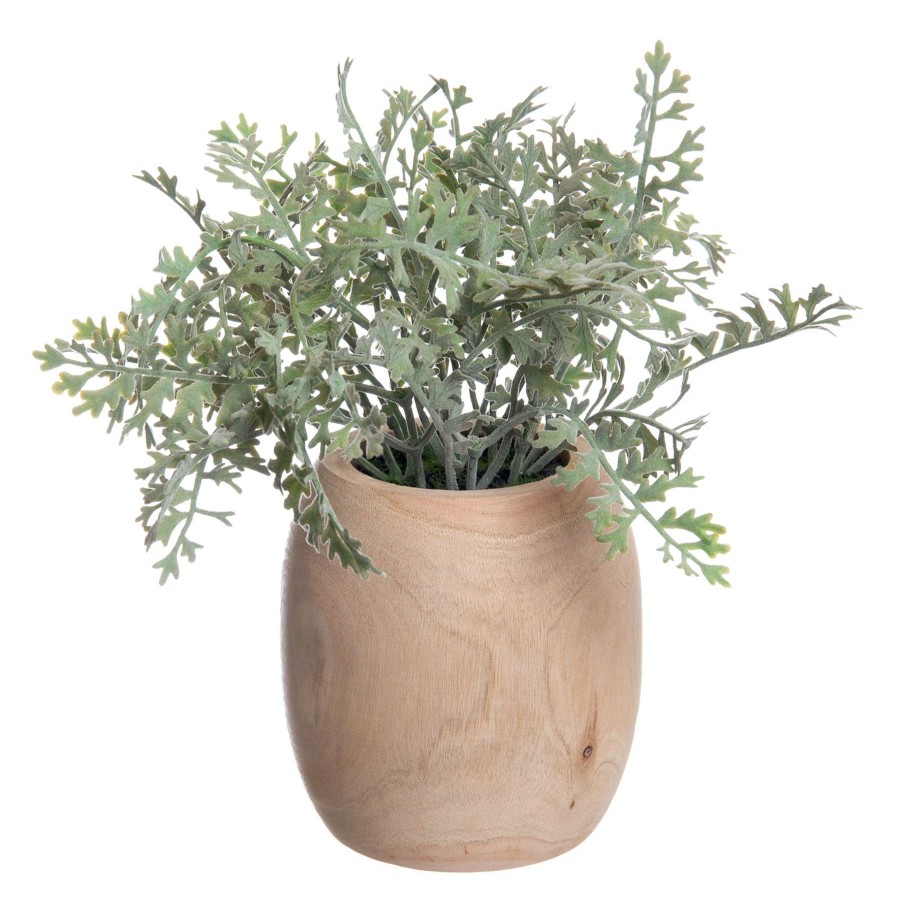 Home Accessories * | Dusty Miller Faux Plant In Wood Pot, 11 Fantastic Model