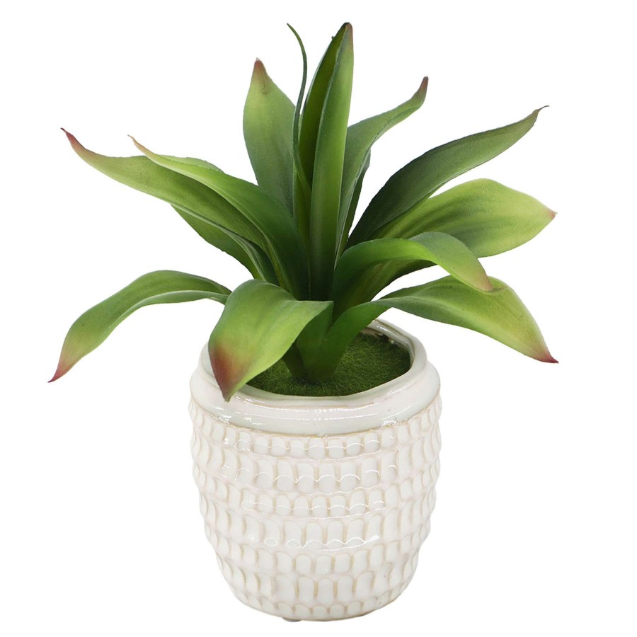 Home Accessories * | 9.5H Agave In Ceramic Pot Discount Store