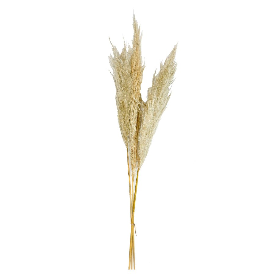 Home Accessories * | 3-Piece Pampas Grass Bundle, 48 Lower Prices