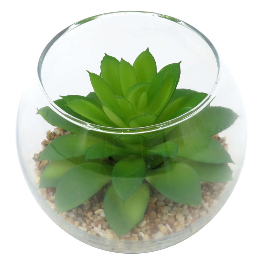 Home Accessories * | 3.5In Echeveria Glass Green Quality Guarantee