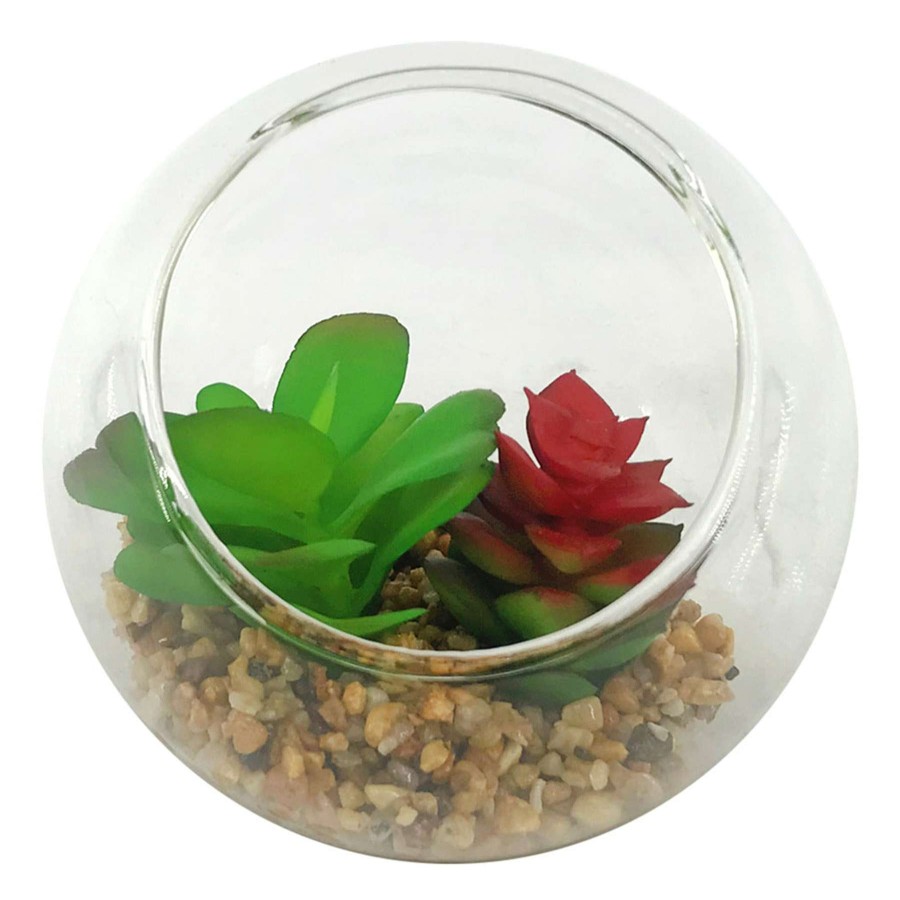 Home Accessories * | 4.75In Succulents Glass Bowl New Collections