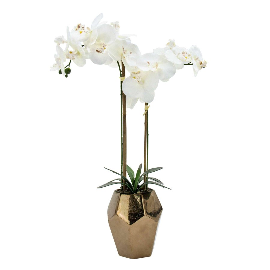 Home Accessories * | 26.5In. Orchid In Ceramic Pot Discount Store