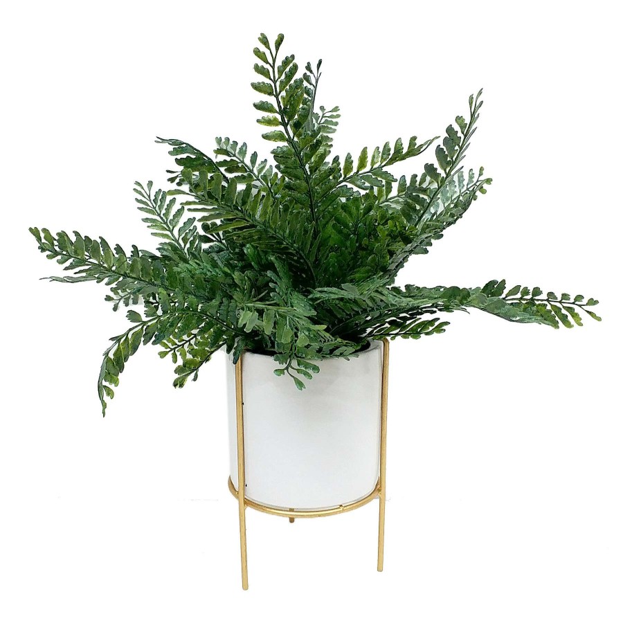 Home Accessories * | Fern In White Pot, 14 Exceptional Design