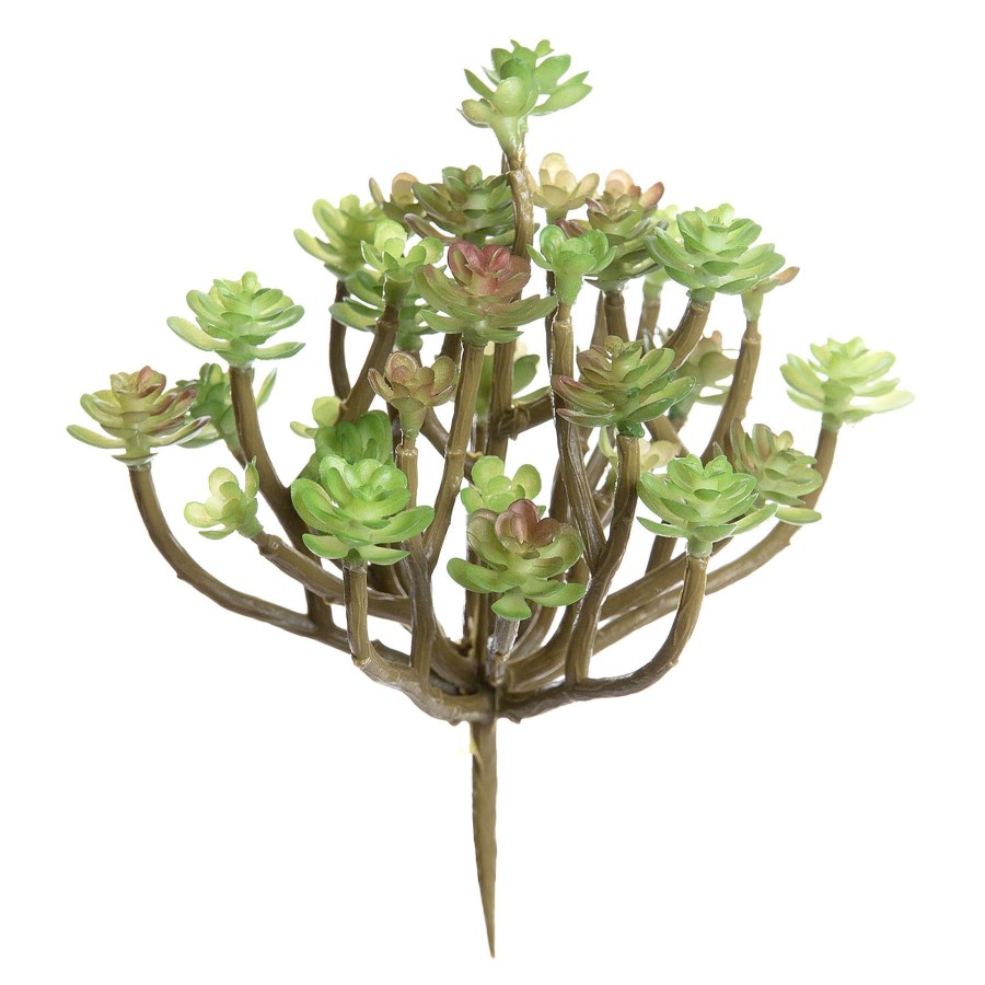 Home Accessories * | Succulent Spray, 6 Reduction In Price