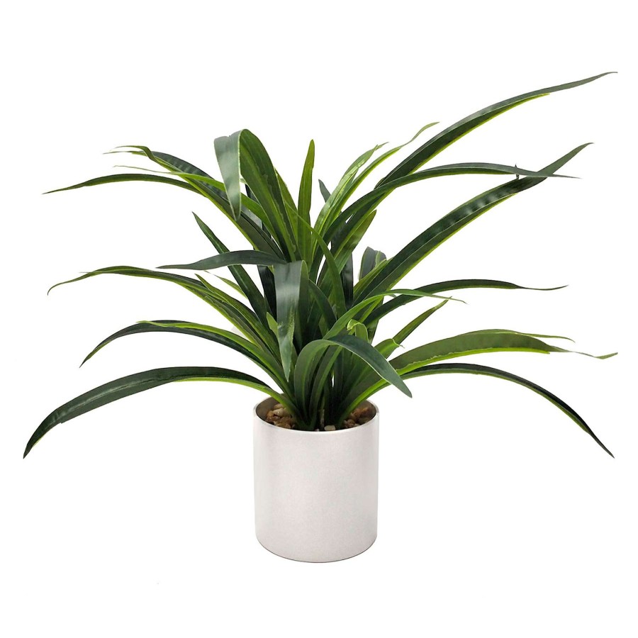 Home Accessories * | Grass Plant With White Planter, 14 Delicate Design